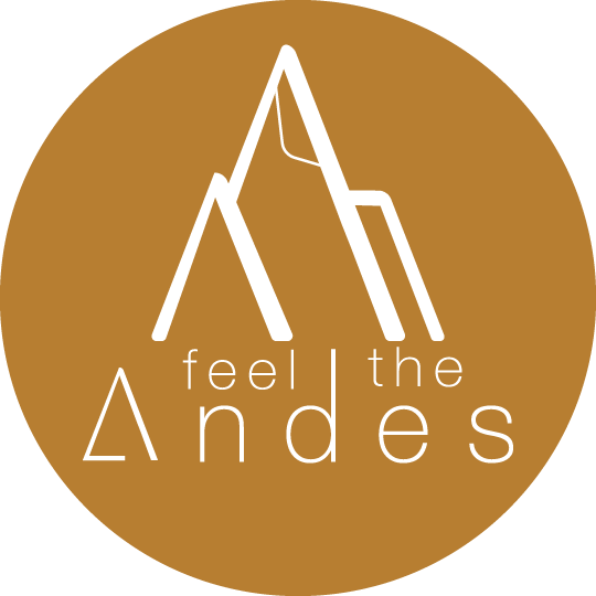 Feel the Andes